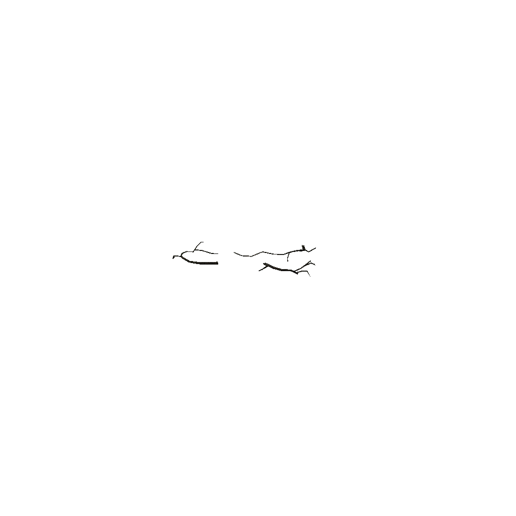 Turntable preview of c_Twigs_b.p3d