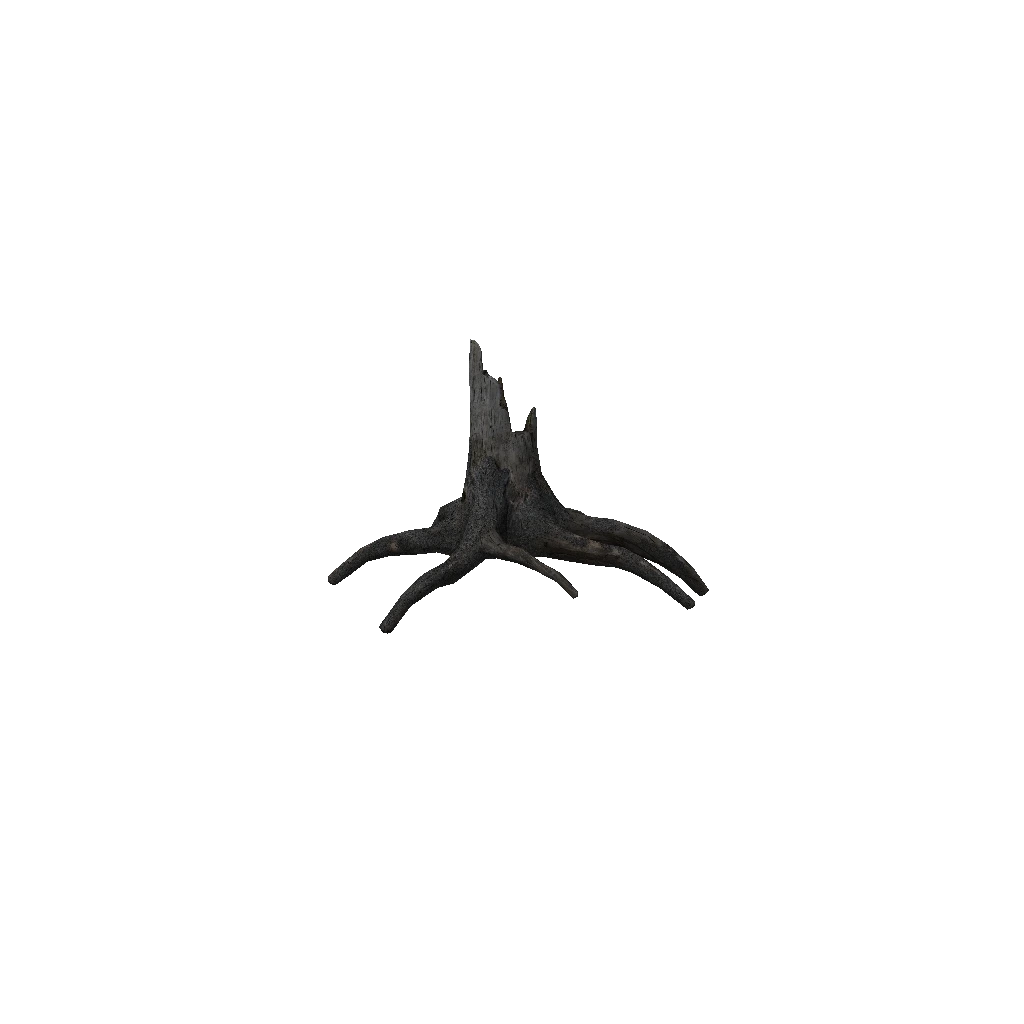 Turntable preview of d_piceaabies_stumpc_dark.p3d
